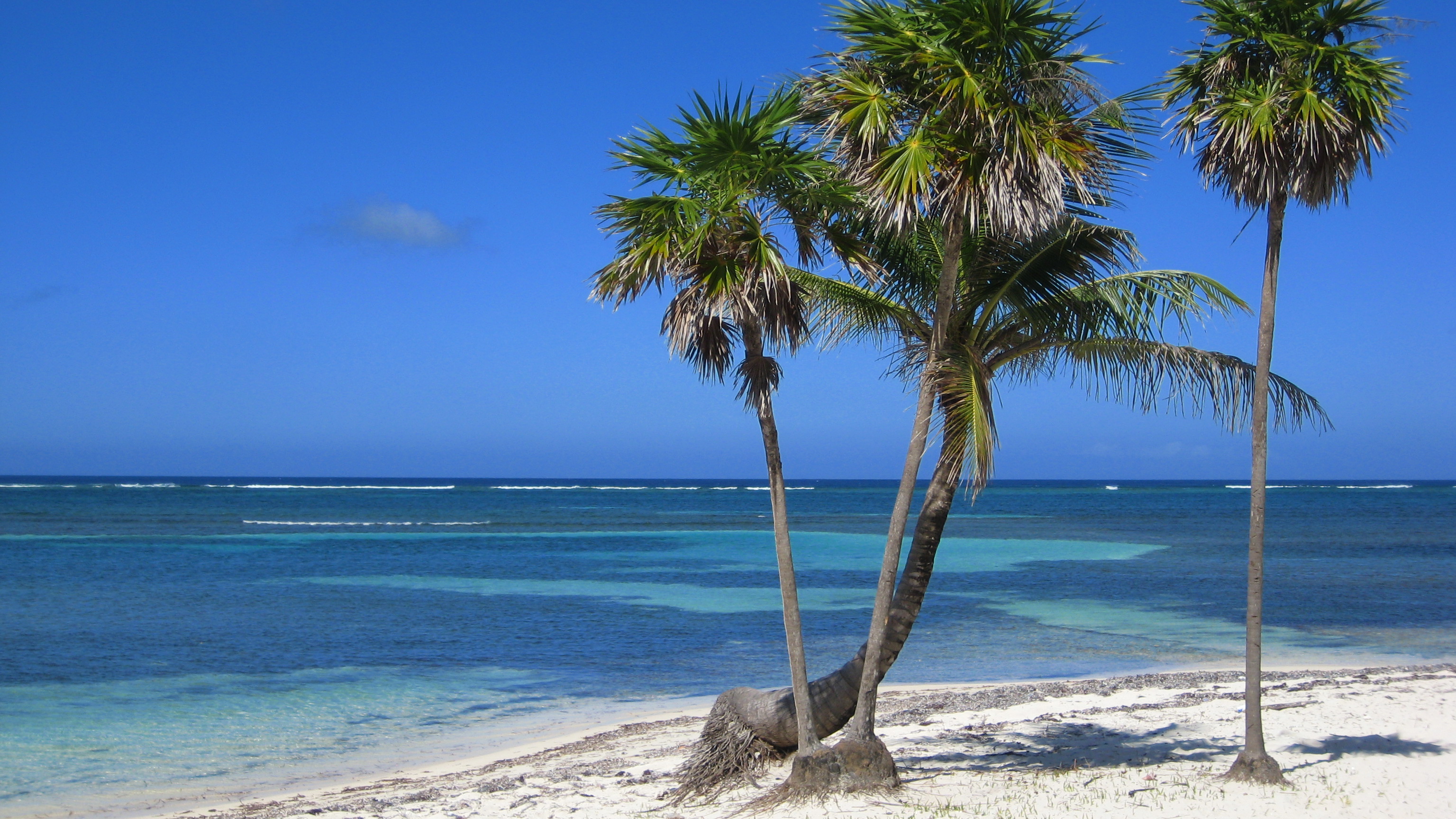 Roatan beach
