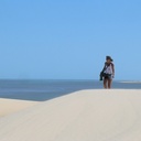 Wild-About-Travel