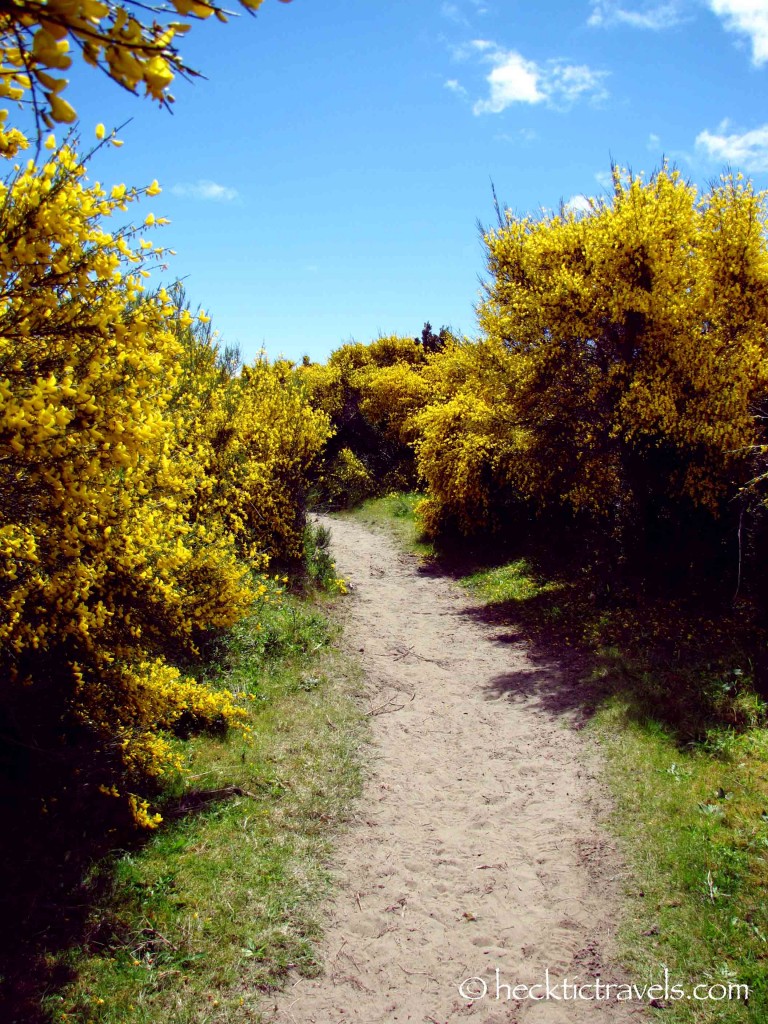 Path to the Sea