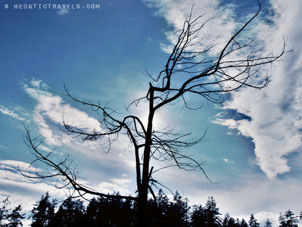 Vancouver Island - Rathtrevor Provincial Park