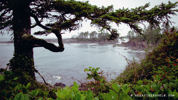 Vancouver Island - Outside Ucluelet