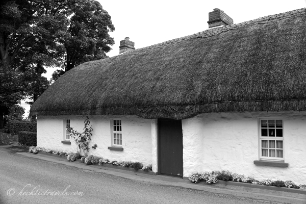 A Thatched Roof House
