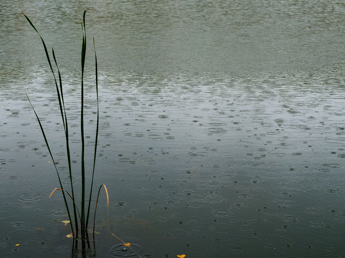 Guinness Lake Lough Tay
