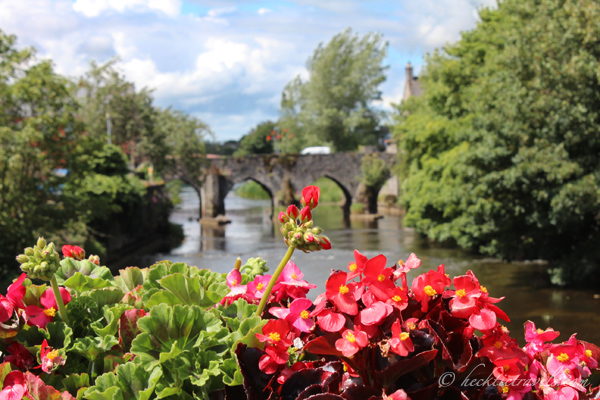 Trim, Ireland Flowers on a Bridge