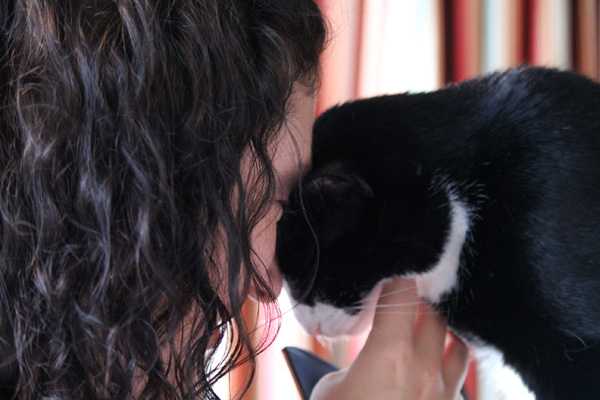 Kitty friend in Dublin while couchsurfing