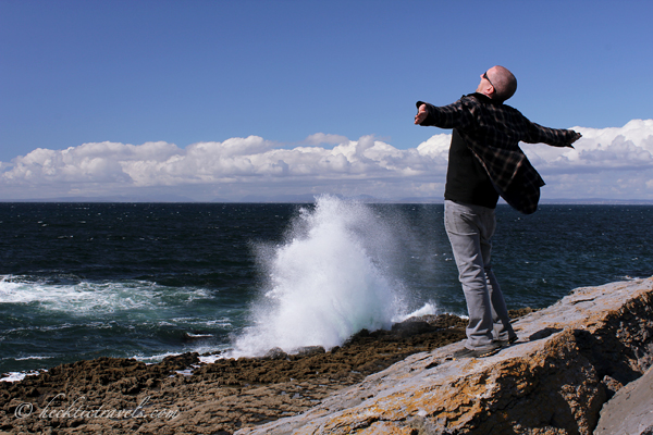 Waves Crash Waves Crash