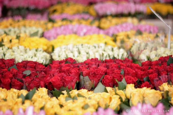 Brussels Sunday Market