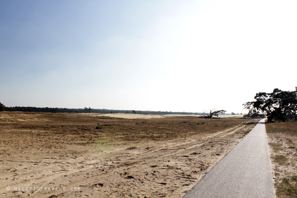 Hoge Veluwe Landscape 2