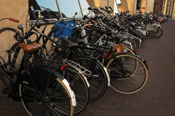 Lots of bikes - Haarlem