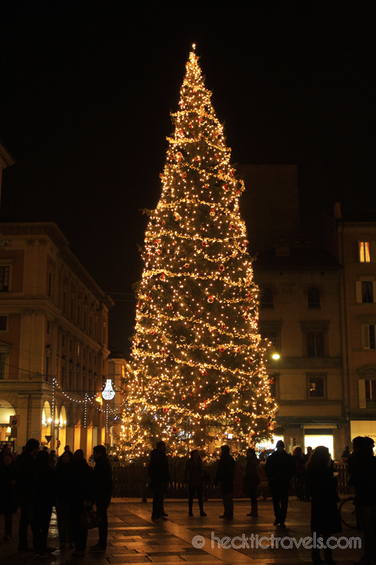 Christmas tree in Bologna's Piazza Maggiore