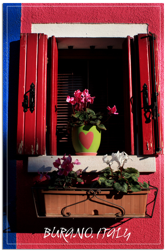 Burano colorful window