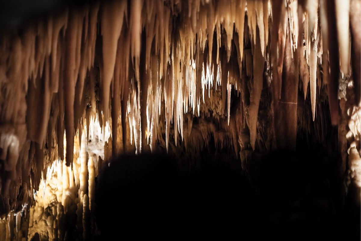 Calcium deposits hang in the Castellana Caves
