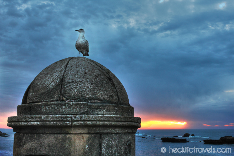 Essaouira 