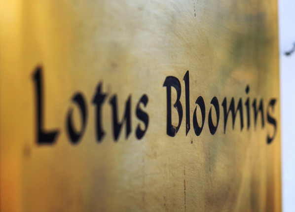 Review: Lotus Blooming Yoga and Ayurveda Retreat