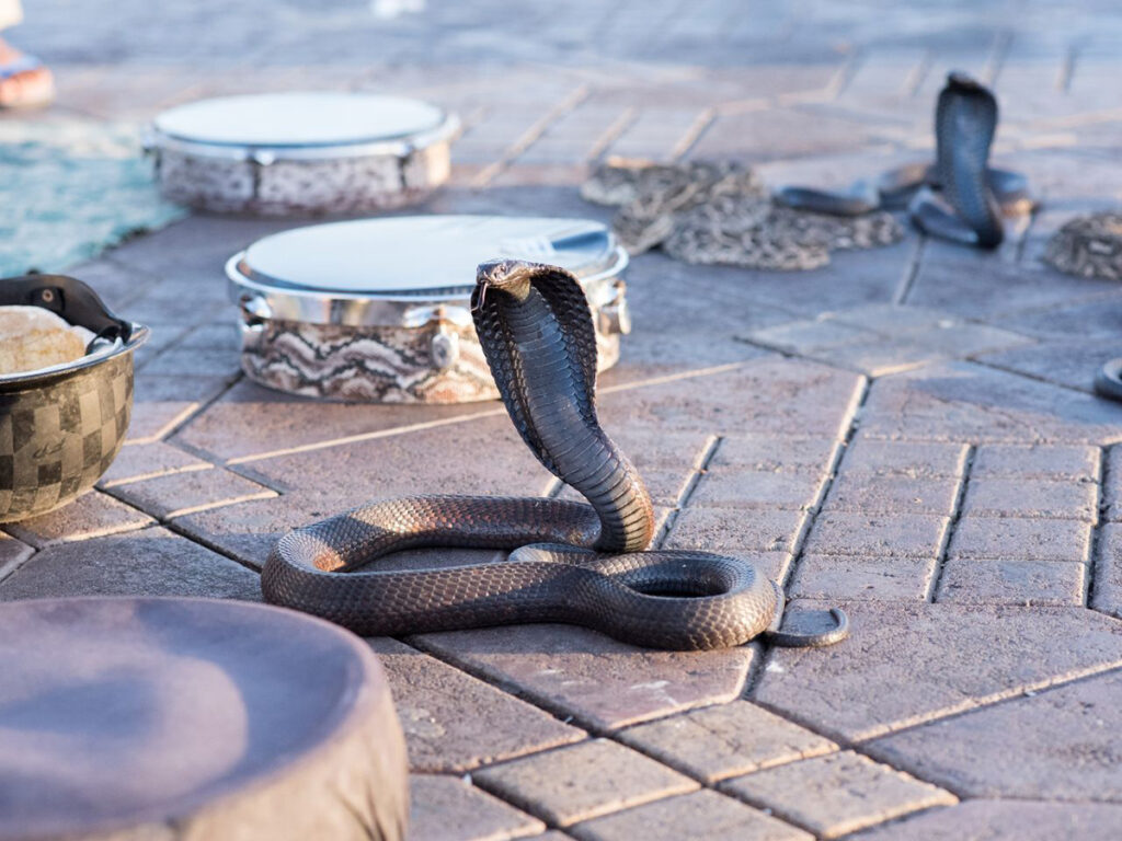 Marrakech Market