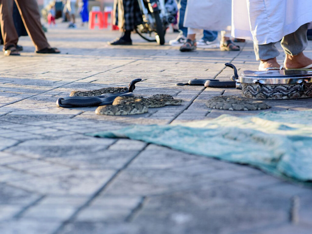 Marrakech Market