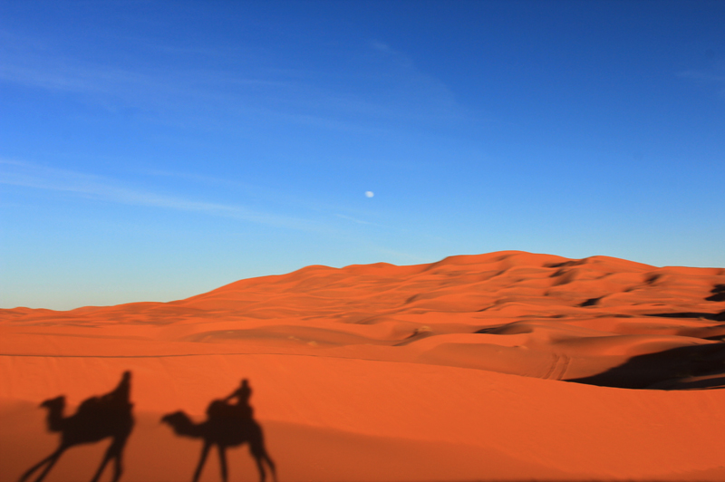 Sahara shadows