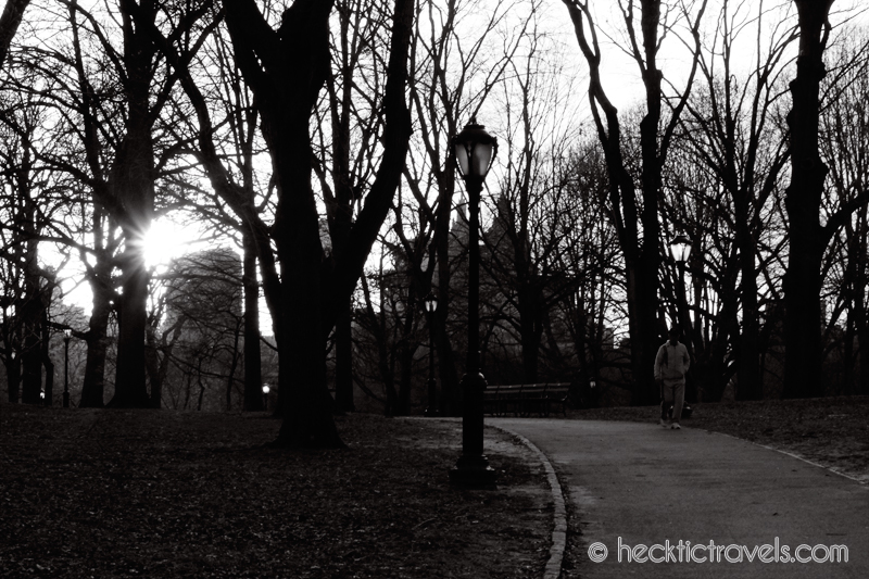 The Sun Peeks Through in Central Park