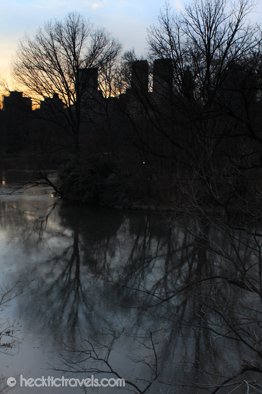 Reflections in Central Park