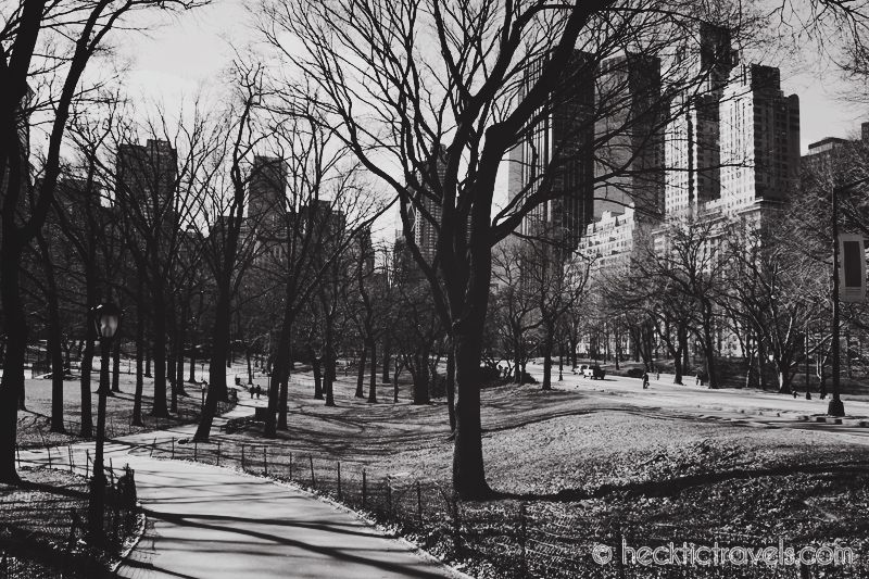 A View from Central Park