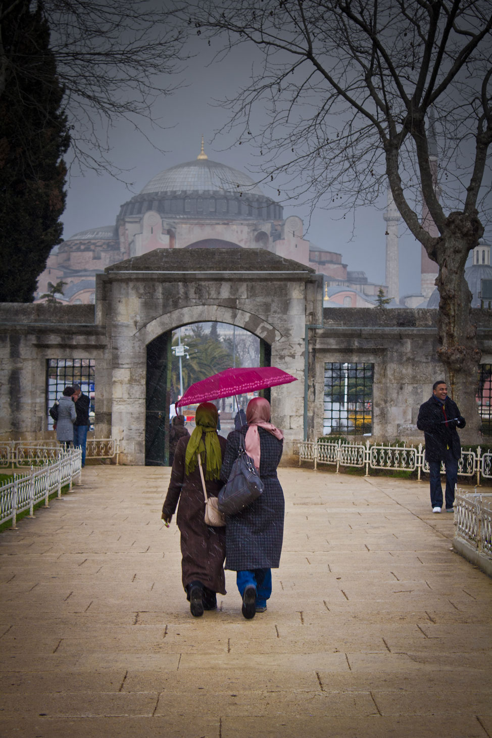 The Pink Umbrella