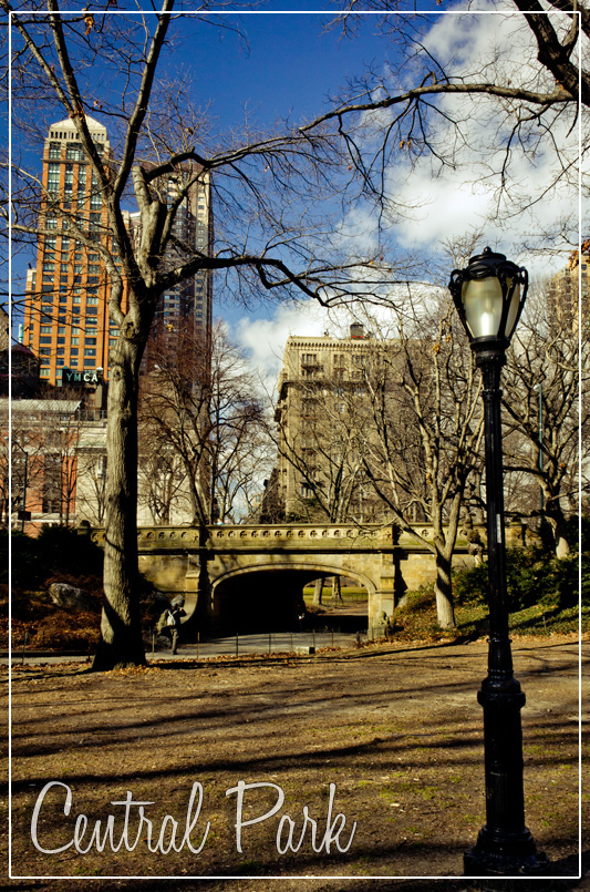 Spring Day in Central Park