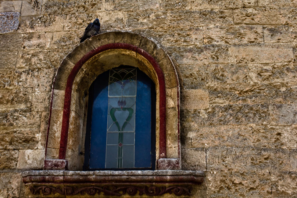 Lone Pigeon - Bodrum, Turkey