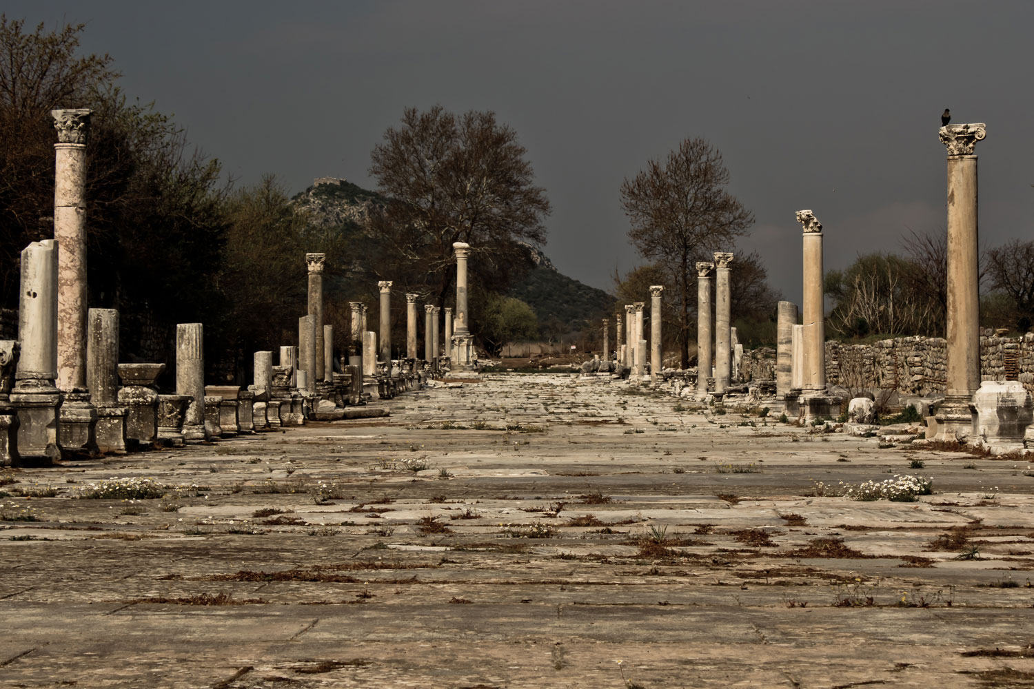 The Ancient Wonder of Ephesus