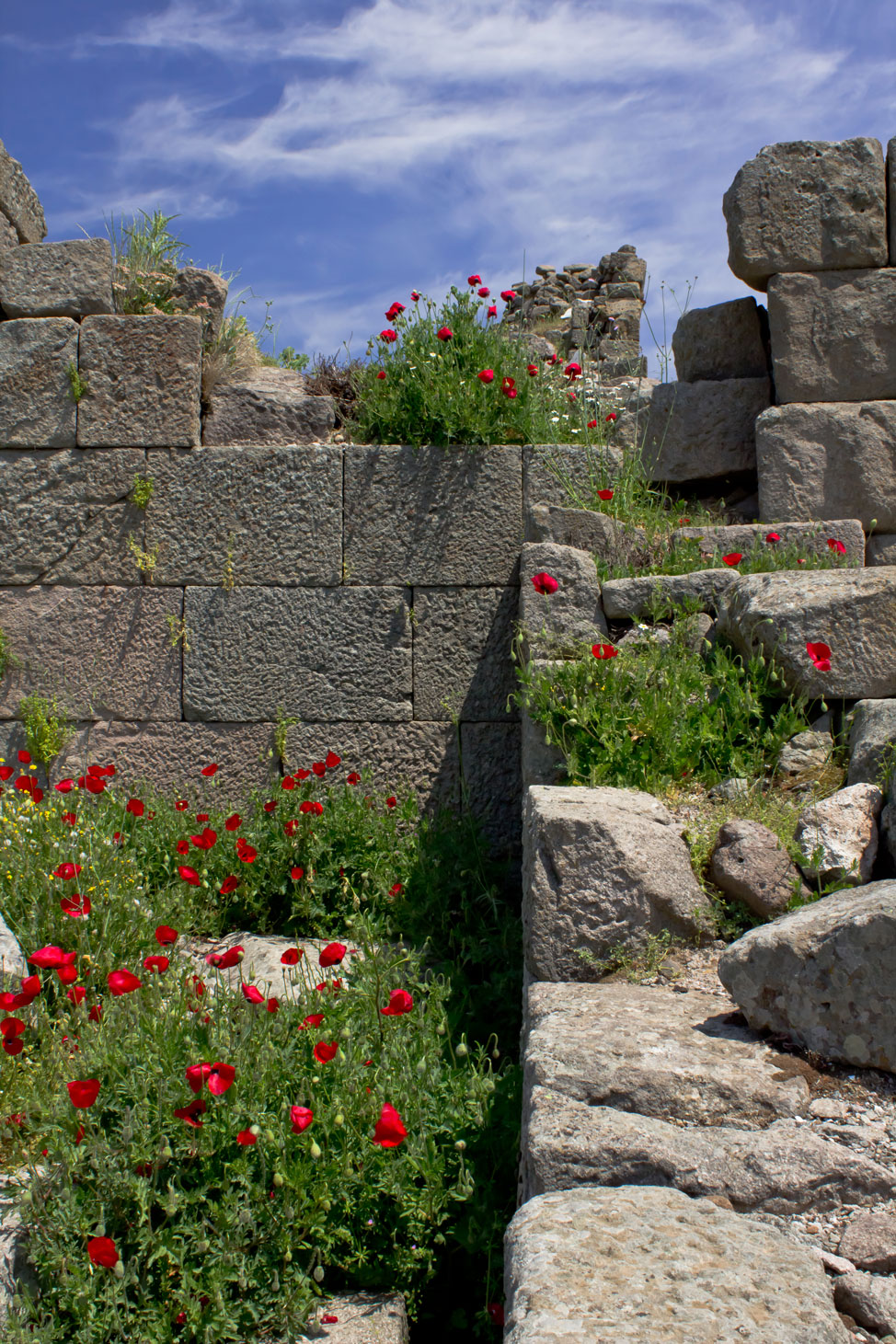 Bergama-3