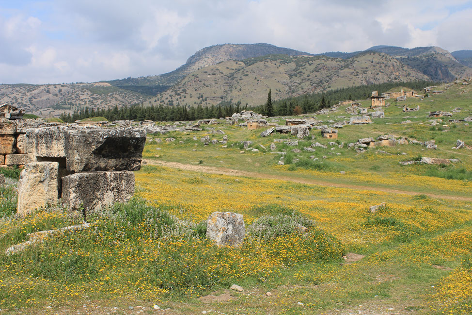 The field of Hierapolis