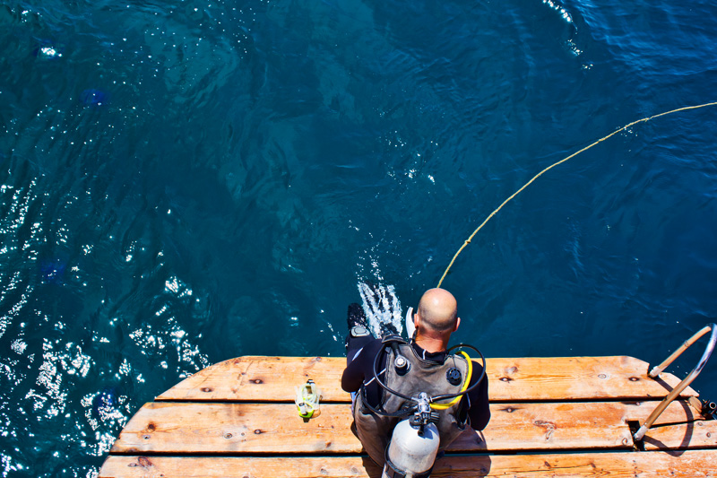 Diver in Aqaba