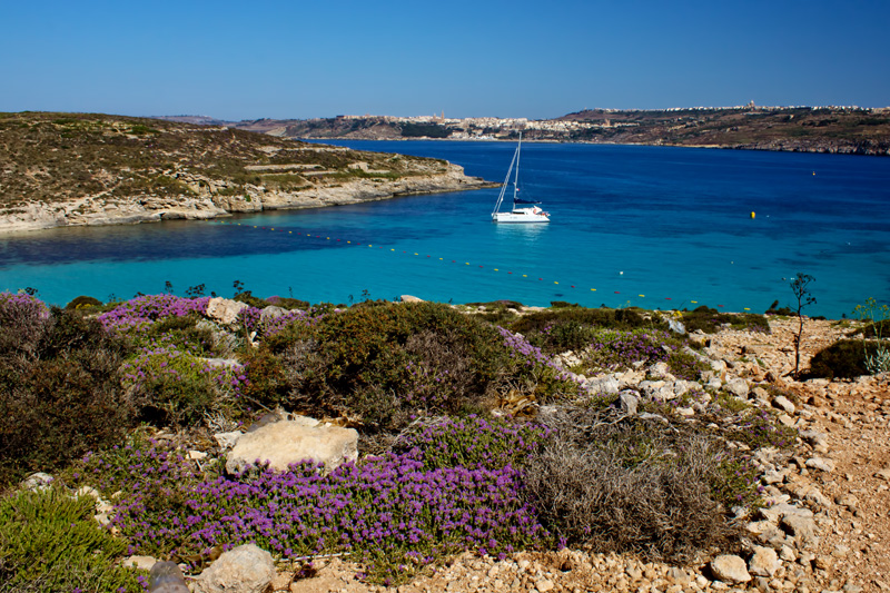 Blue Lagoon, Malta