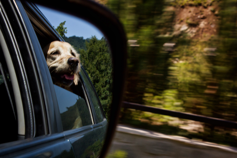 Road trip Slovenia