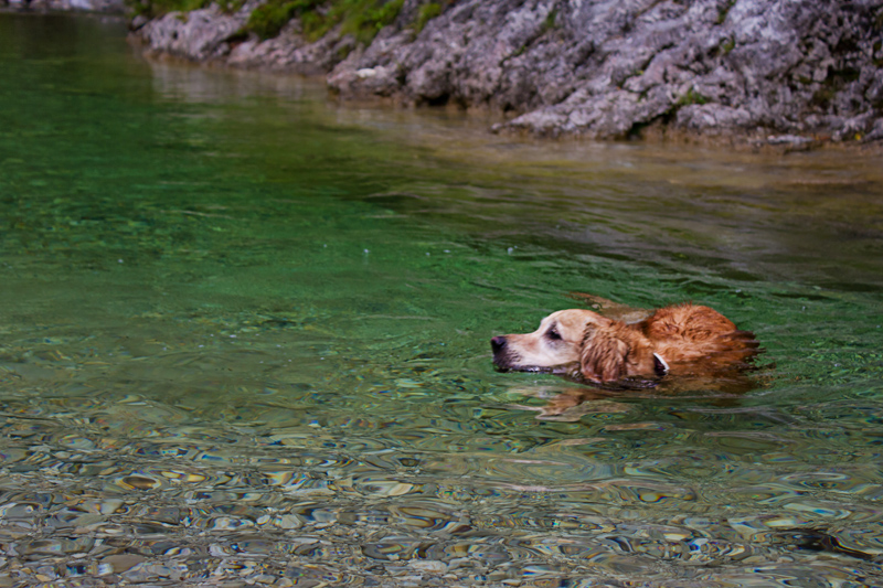 River Slovenia