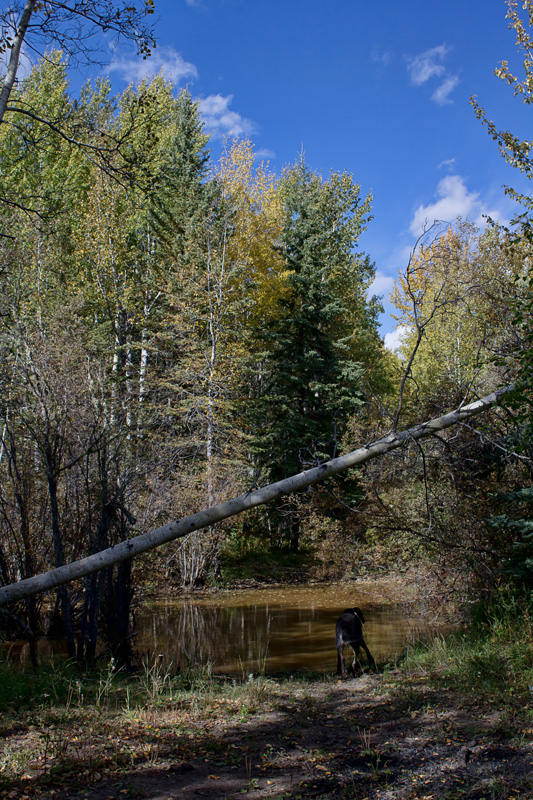 Alberta lake