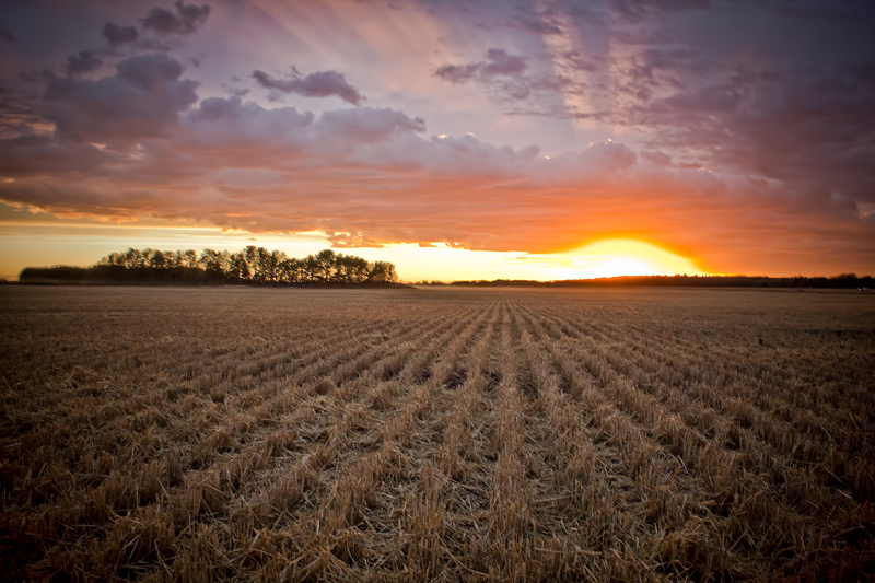 Alberta sunset