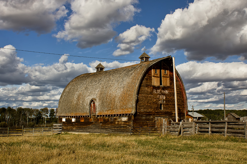 Blue Hawk Farm