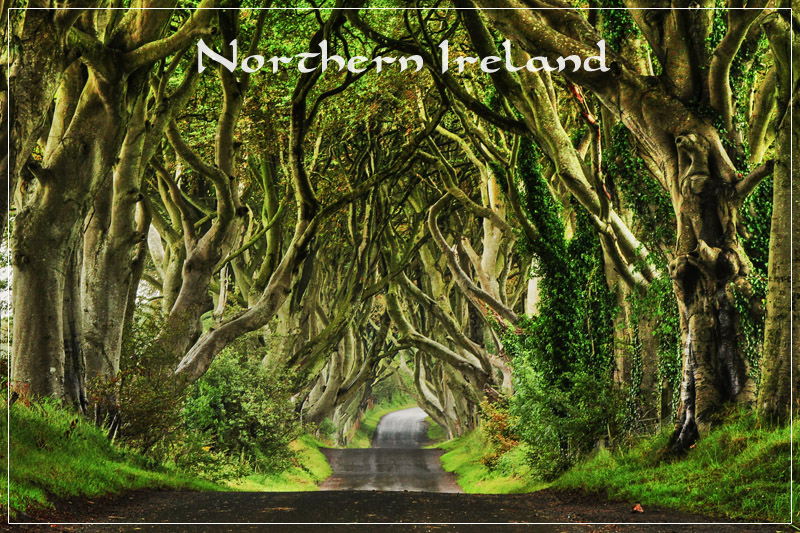 Dark Hedges Ireland