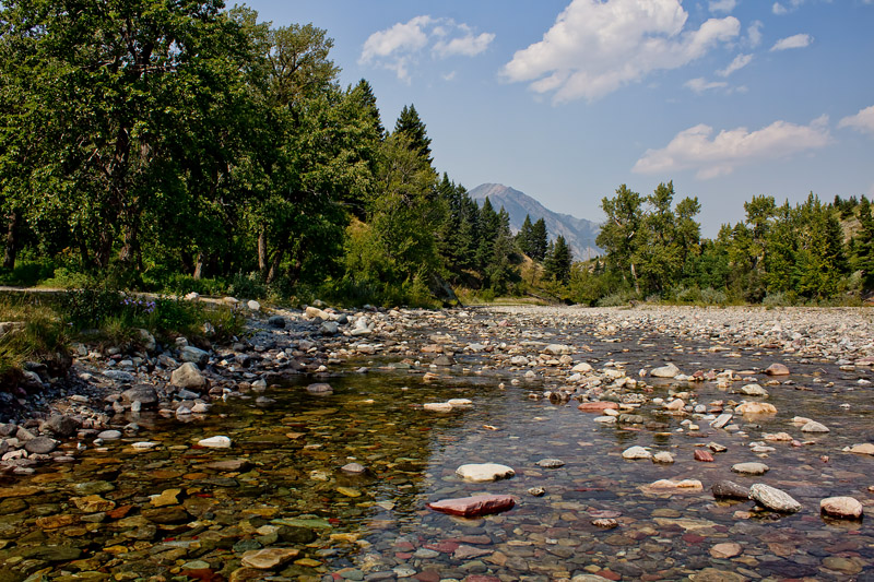 Creek, Waterton Alberta