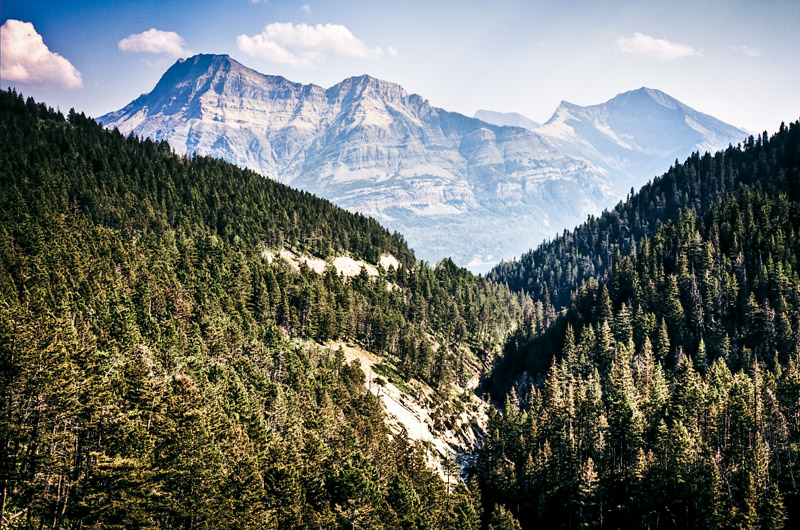 Waterton Alberta