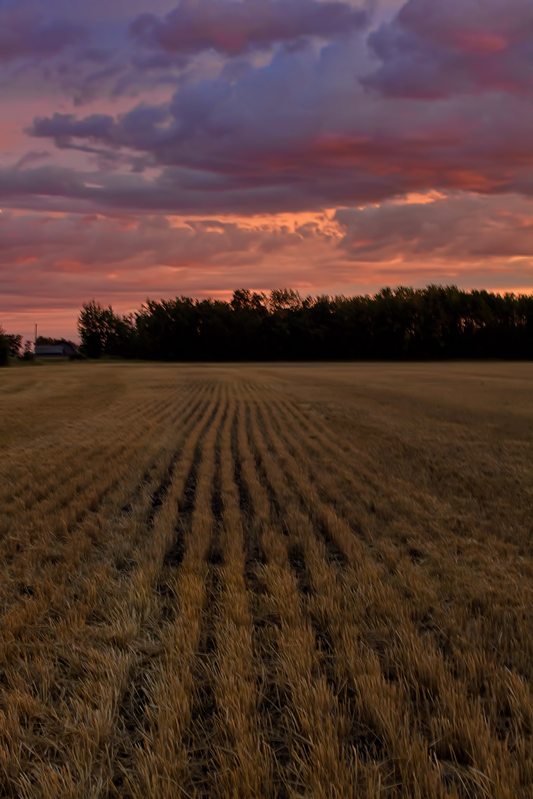Alberta Sunset-2_533x800