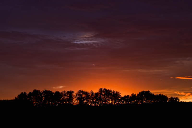 Alberta Sunset-4_800x533