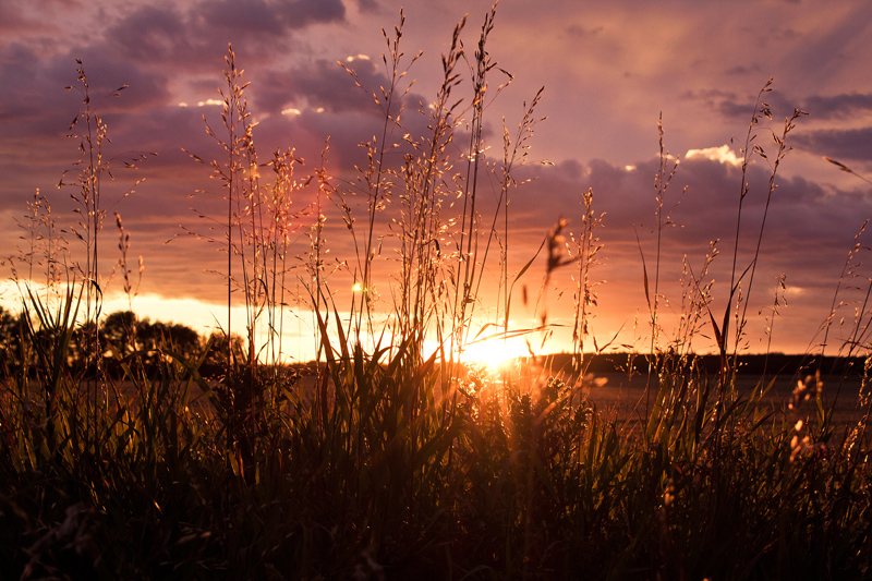 Alberta-Sunset-8_800x533