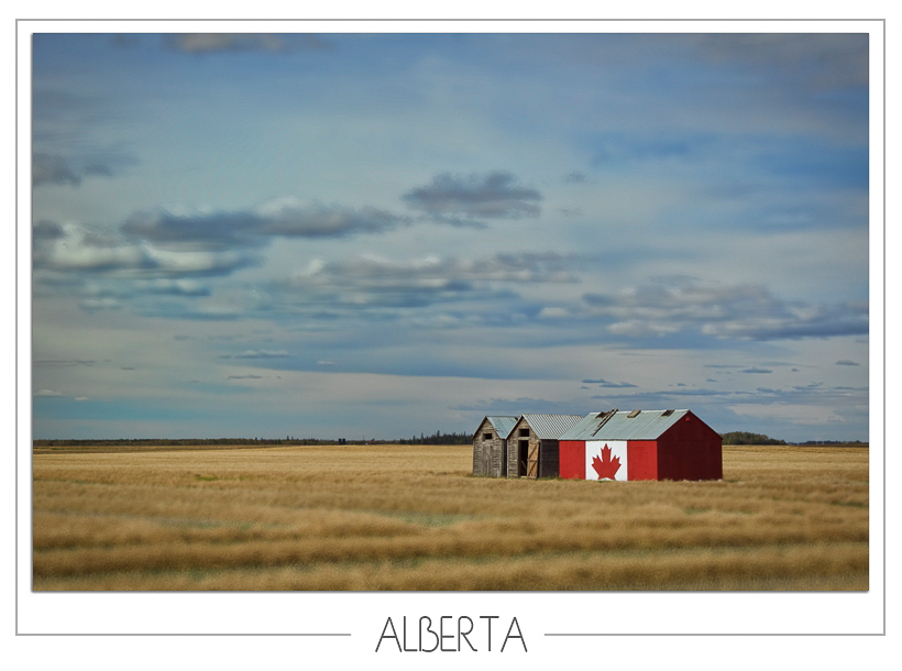 Alberta Patriotic