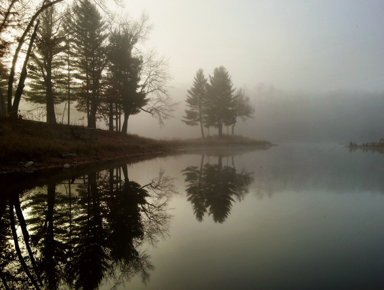 Early Morning Fog