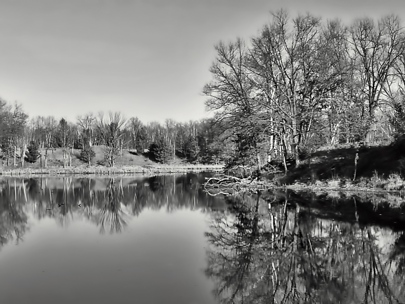 Reflections in a Wisconsin Lake