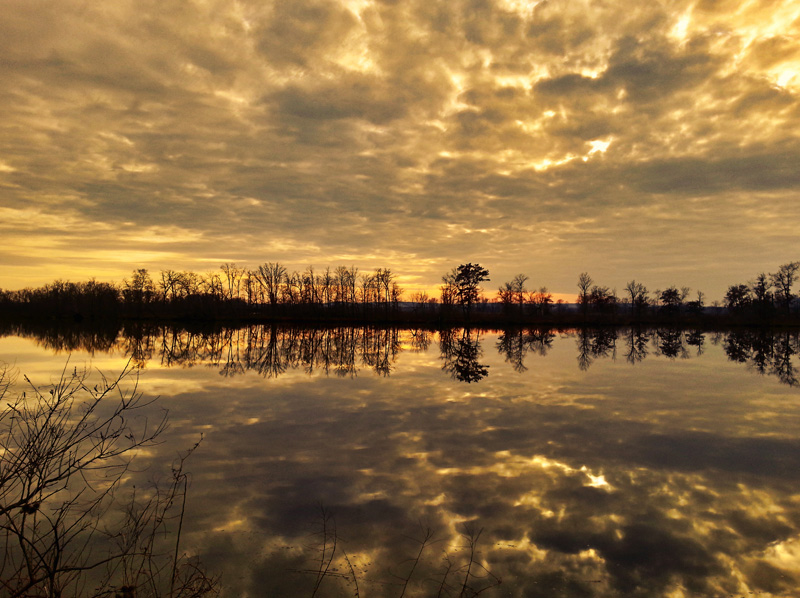 Mississippi River Wisconsin - 5 - 800x598