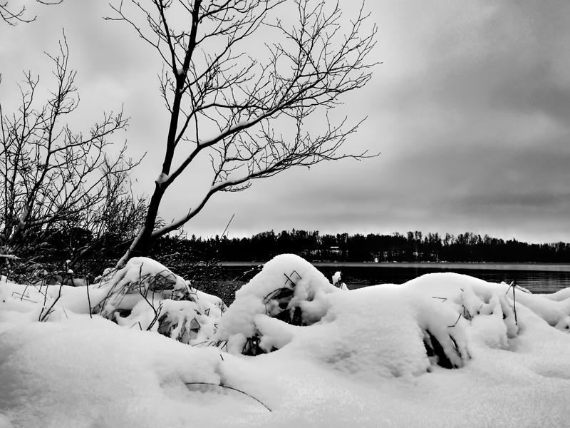 Snow on the Lake