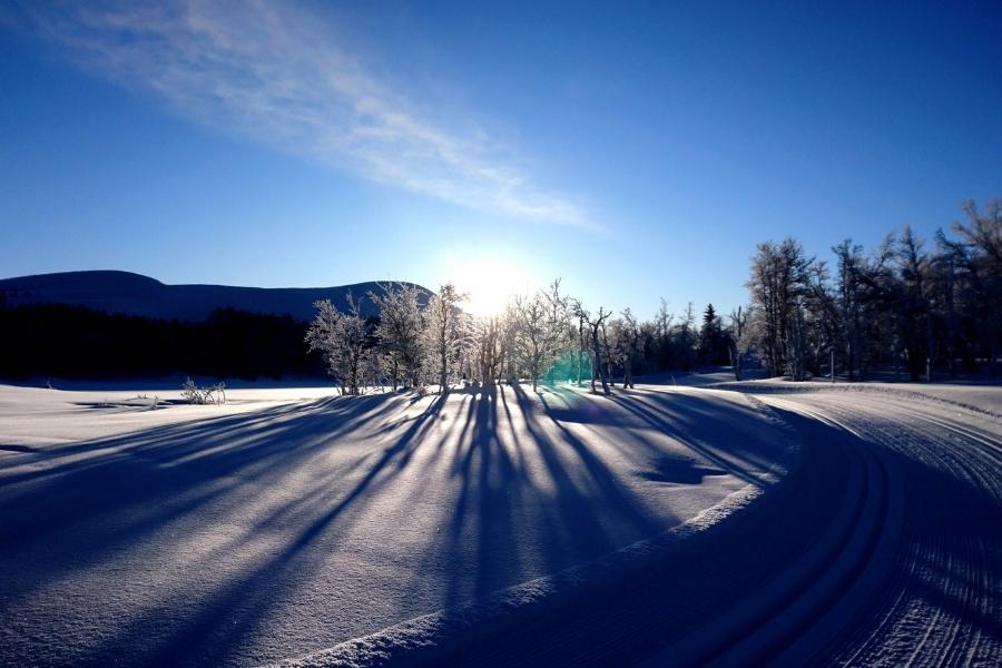 A cold winter morning