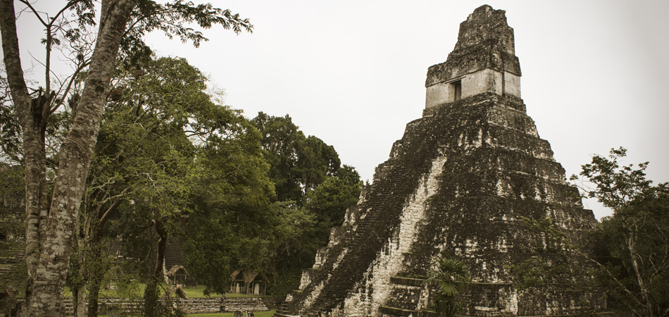 Tikal - Feature Image